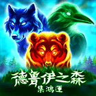 德魯伊之森