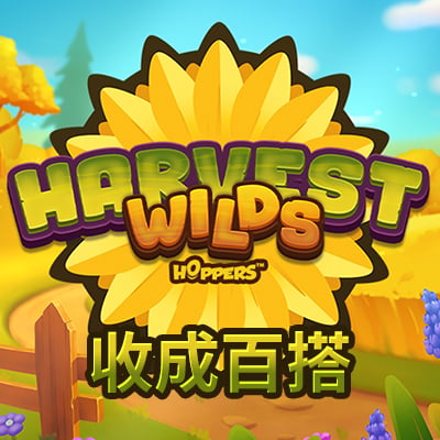 收成百搭
