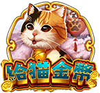 給貓金幣